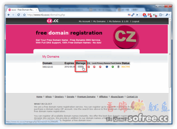 CZ.CC 免費超短二級網址，提供完整DNS管理功能